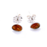 Amber Enamel Stud Earrings