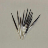 Porcupine Quills